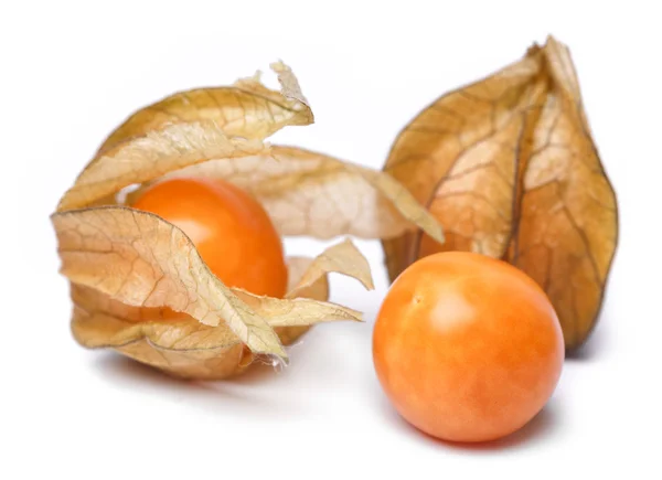 Physalis — Fotografia de Stock