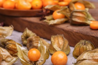 Physalis ve Kamkat