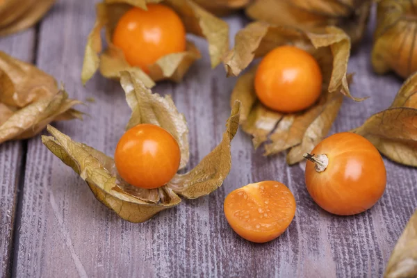 Physalis. —  Fotos de Stock