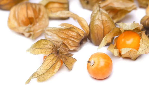 Physalis — Stock fotografie