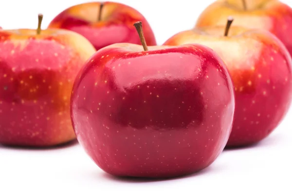 Măr coapte roșu — Fotografie, imagine de stoc