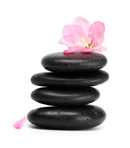 Wellness stones — Stockfoto