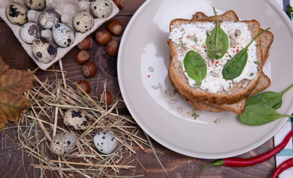 Sandwich con queso blando — Foto de Stock