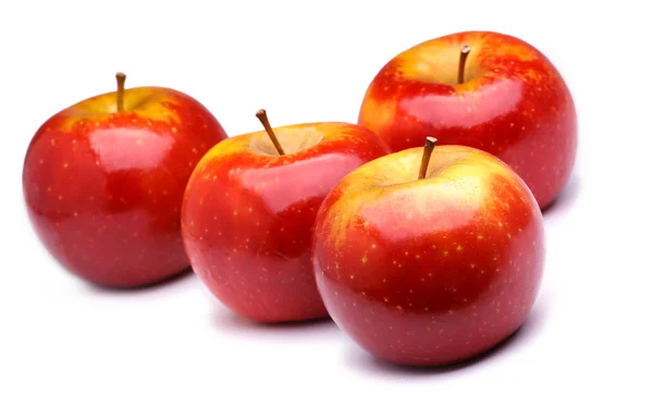 Červená zralá jablka — Stock fotografie