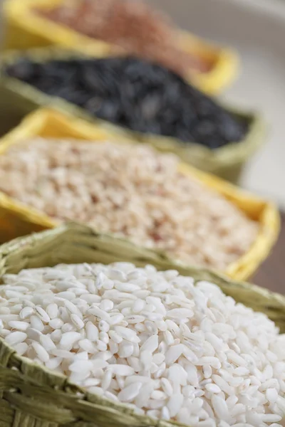 Vários arroz — Fotografia de Stock