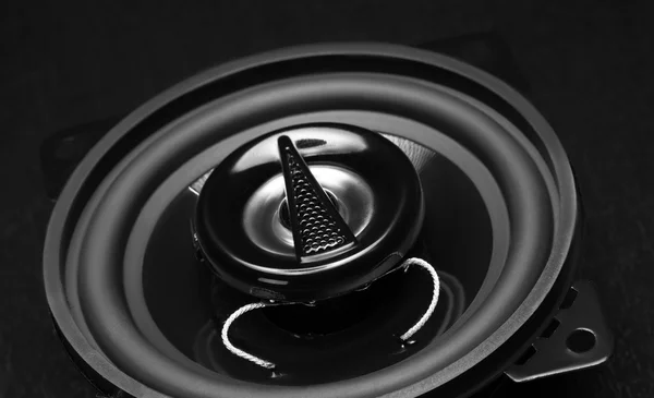 Speaker — Stock Photo, Image