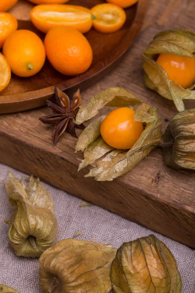 Physalis och kumquat — Stockfoto