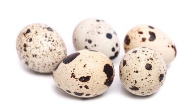 bıldırcın yumurtası