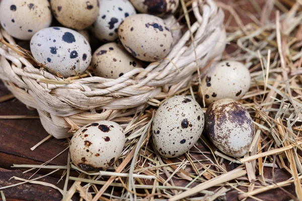 Quail eggs — Stock Photo, Image