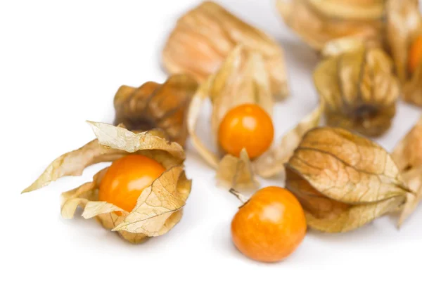 Physalis — Fotografia de Stock