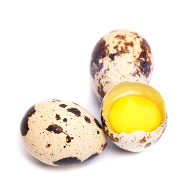 bıldırcın yumurtası