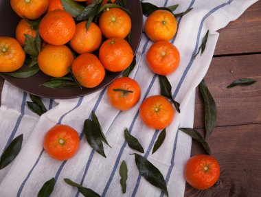 Bir demet mandalina