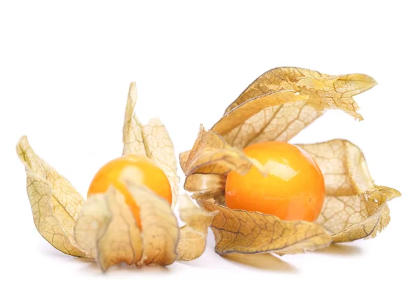 Physalis. —  Fotos de Stock