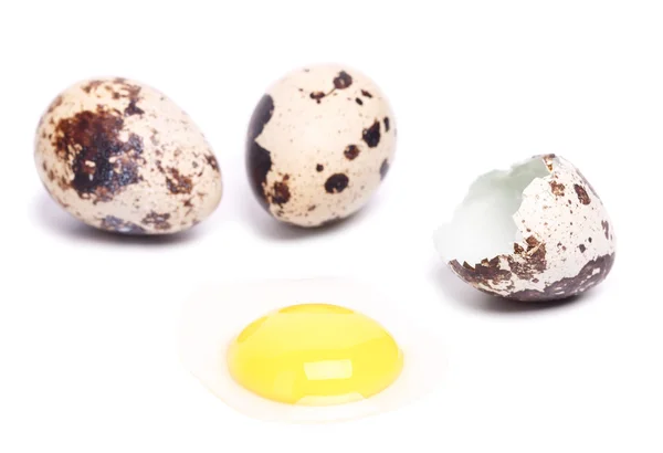 Quail eggs — Stock Photo, Image