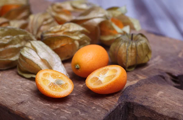 Kumquat und Physalis — Stockfoto