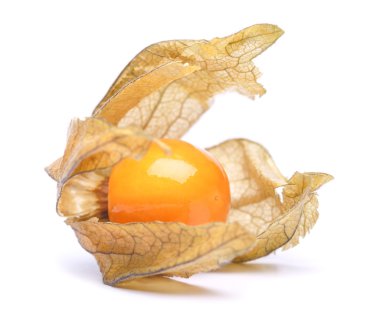 Physalis