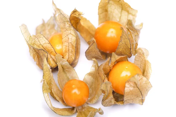 Physalis — Stock fotografie