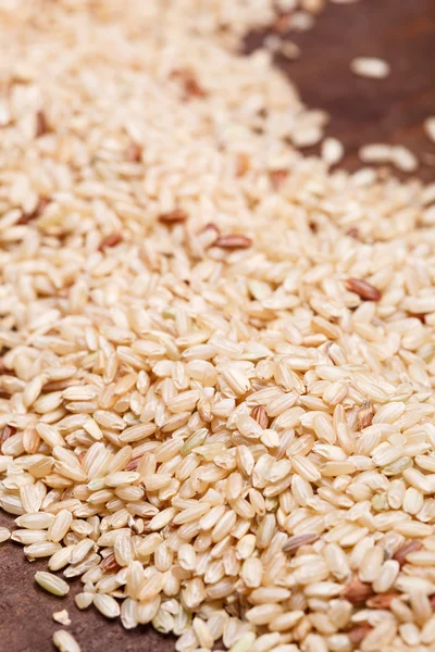 Esmer pirinç — Stok fotoğraf