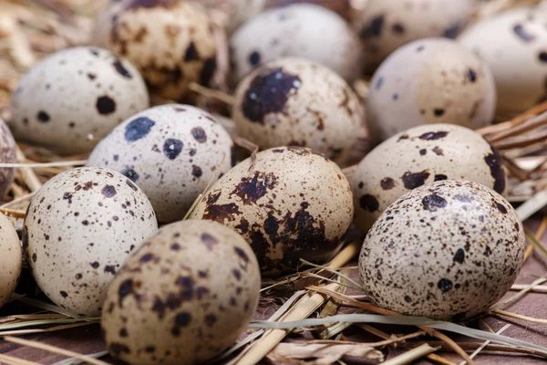 Quail eggs — Stock Photo, Image