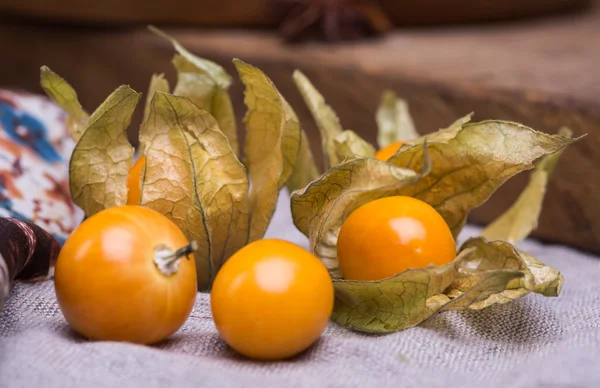 Physalis — Stockfoto