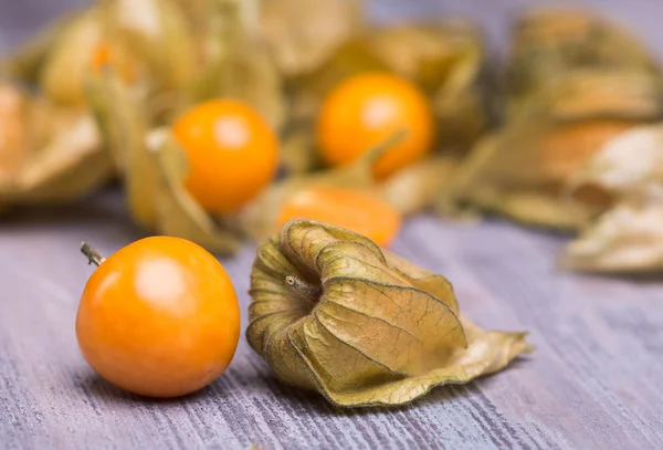 Physalis — Stockfoto