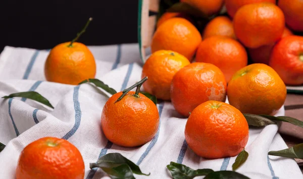 Brunch of tangerines — Stock Photo, Image