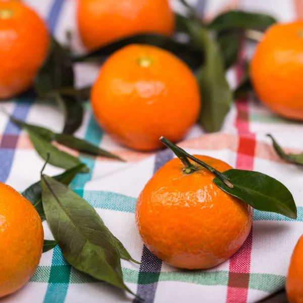 Brunch de mandarines — Photo