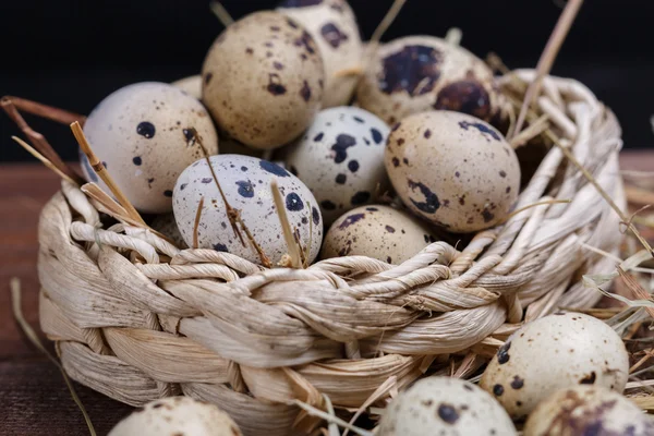 Vaktelägg — Stockfoto