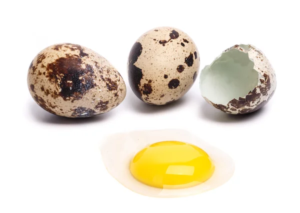 Quail eggs — Stock Photo, Image