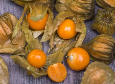 Physalis