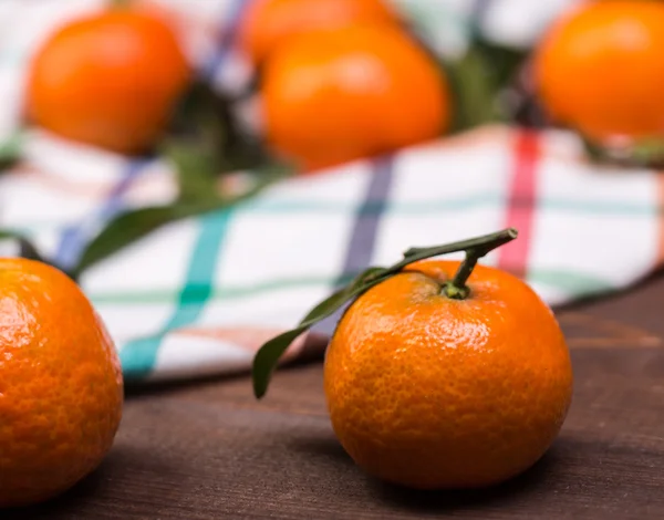 Brunch of tangerines — Stock Photo, Image