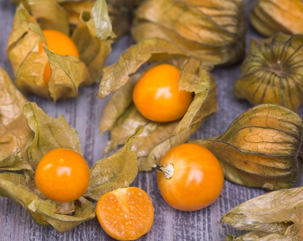 Physalis — Stock fotografie