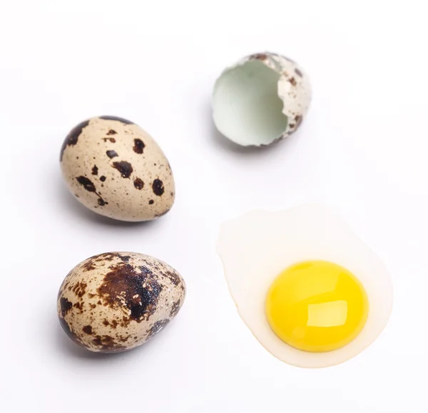 Quail eggs — Stock Photo, Image