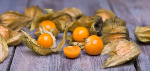 Physalis — Stock fotografie