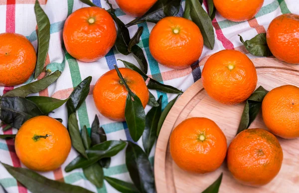 Brunch of tangerines — Stock Photo, Image