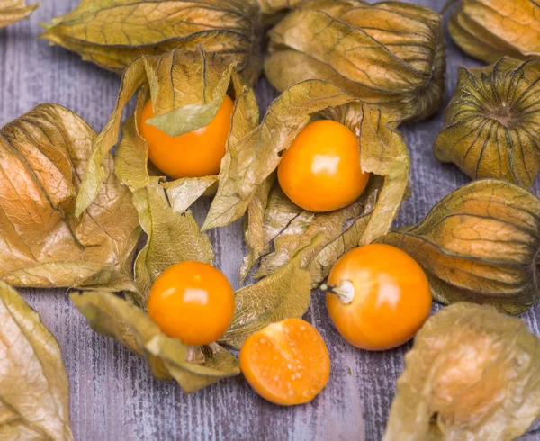 Physalis — Stockfoto