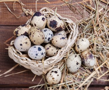 bıldırcın yumurtası