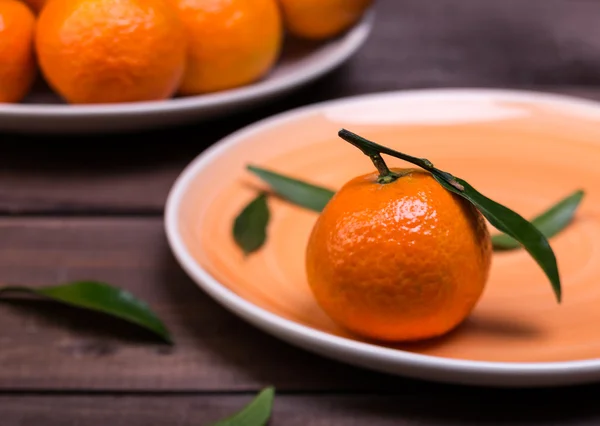 Brunch de tangerinas — Fotografia de Stock