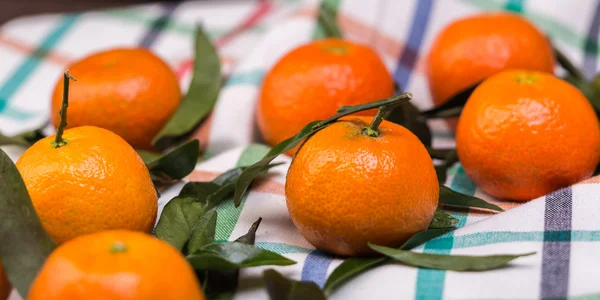 Brunch of tangerines — Stock Photo, Image