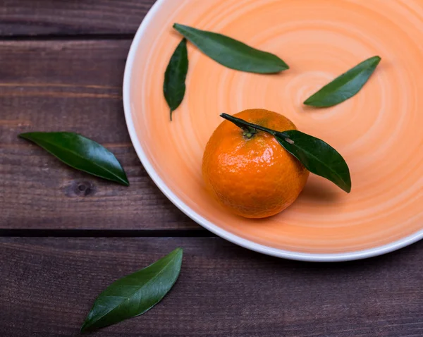 Brunch de tangerinas — Fotografia de Stock