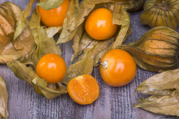 Physalis — Stock fotografie