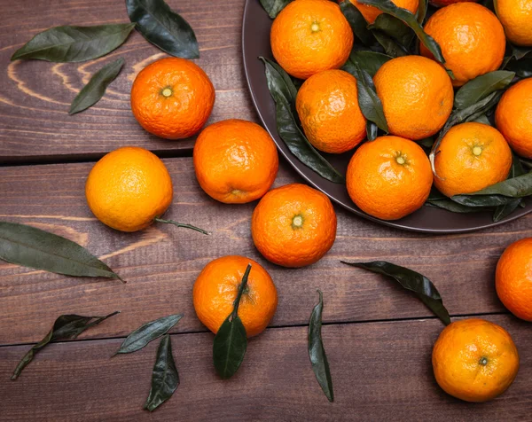 Brunch of tangerines — Stock Photo, Image