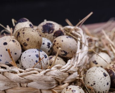 bıldırcın yumurtası