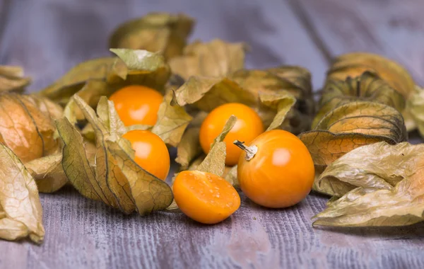 Physalis — Stock fotografie