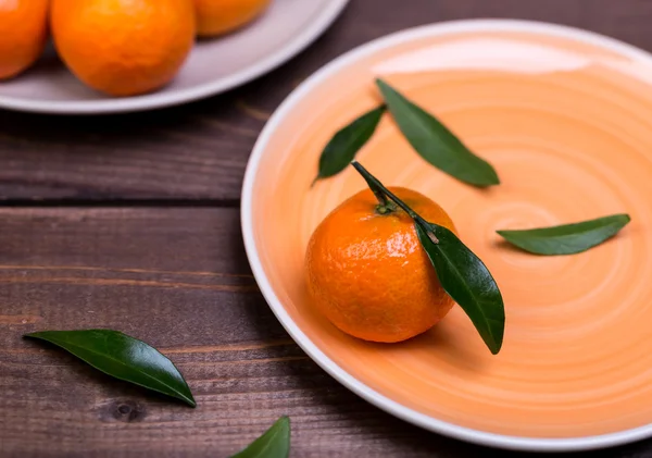 Brunch dari tangerines — Stok Foto