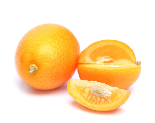 Citrussläktet — Stockfoto