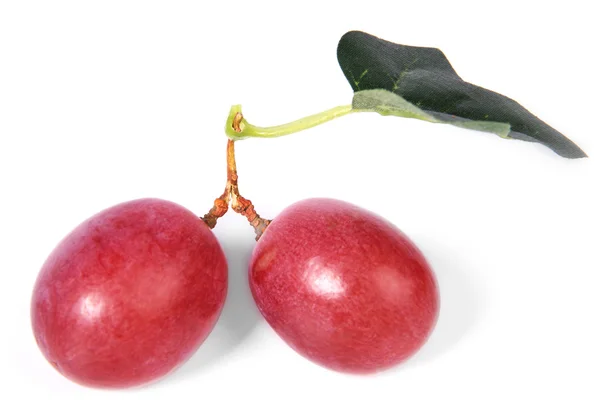 Uvas rojas — Foto de Stock