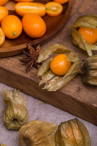 Physalis und Kumquat — Stockfoto