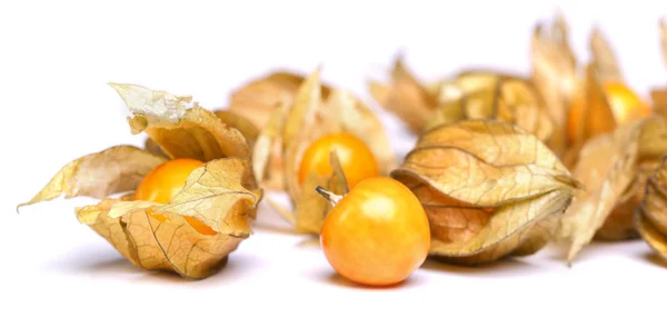 Physalis — Stock fotografie