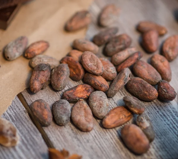 Granos de cacao —  Fotos de Stock